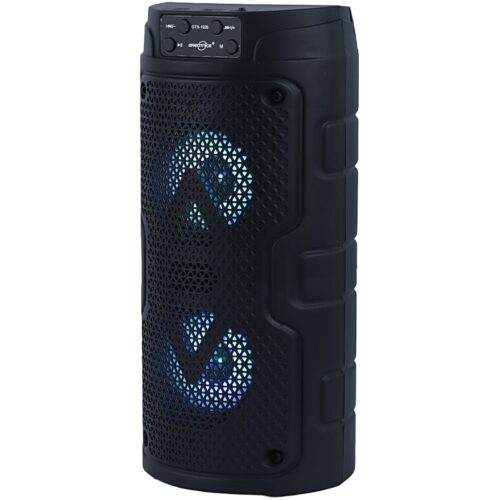 اسپیکر بلوتوثی گریت نایس GTS-1926 + میکروفون - تصویر 2